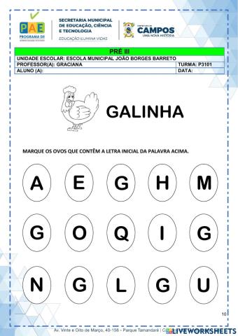 GalinhaVizinho10