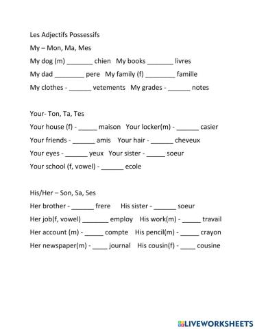 Les Adjectifs Possessifs