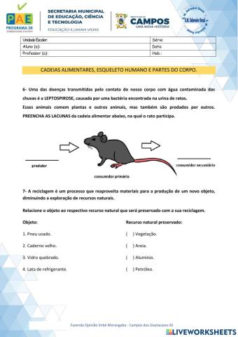 Cadeia Alimentar, Funções do Esqueleto e Partes do corpo Humano.