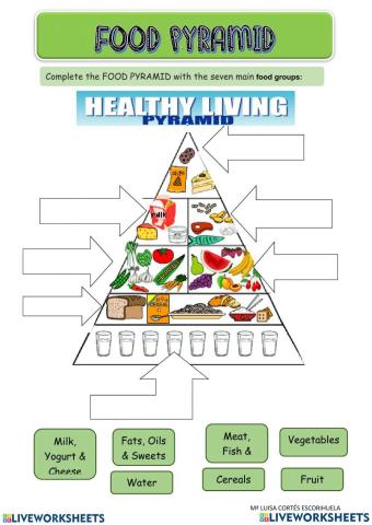 Food Pyramid