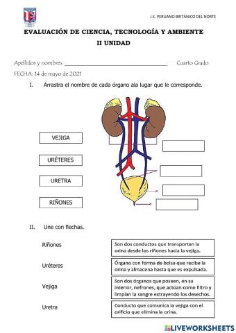 Evaluación de Ciencia