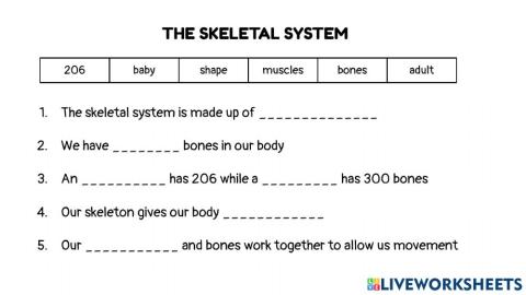 Skeletal system