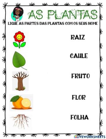 Partes da planta