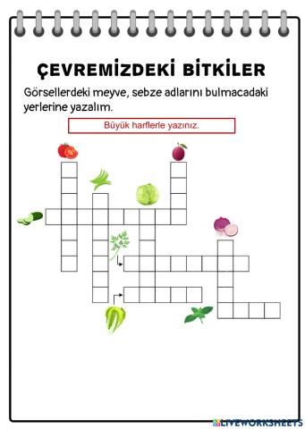 Çevremizdeki Bitkiler-1