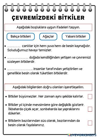 Çevremizdeki Bitkiler-2