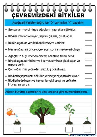 Çevremizdeki Bitkiler-4