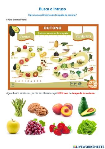 Alimentos de tempada: outono