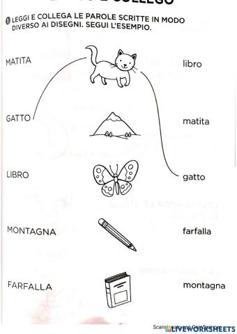 Forma le parole e collega il disegno