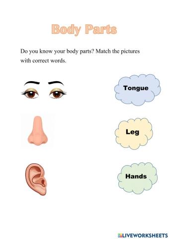 Body Parts