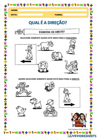 Qual é a Direção