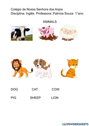 Animals