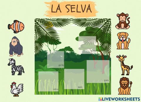 Animales de la selva