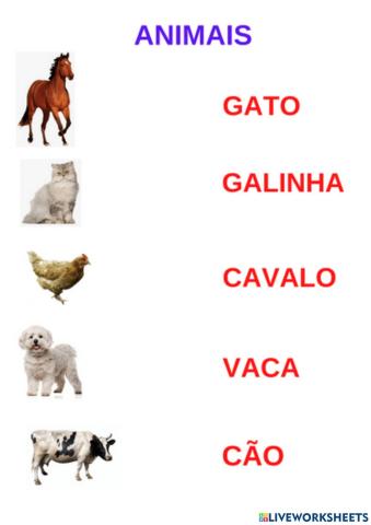 Animais