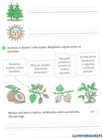 Pasitikrinamasis darbas. RAŠYMAS 2 kl.