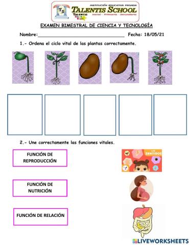 Examen bimestral de ciencia y tecnología