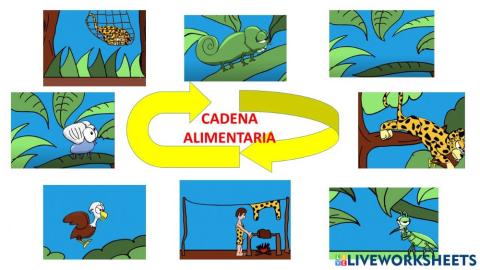 Cadena Alimentaria