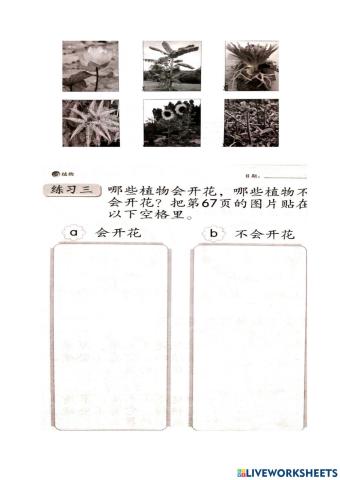 一年级科学作业33页