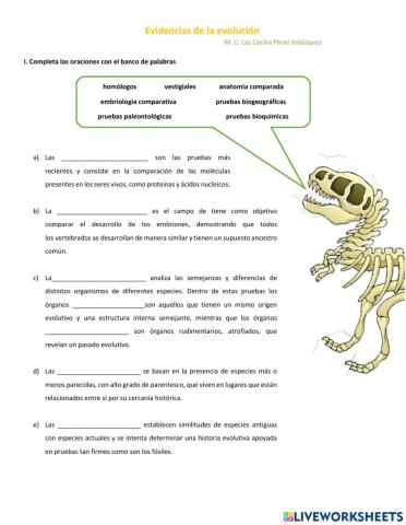 Evidencias de la evolución