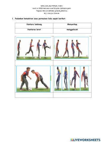 Pjpk kelas peralihan: bola sepak & bola jaring