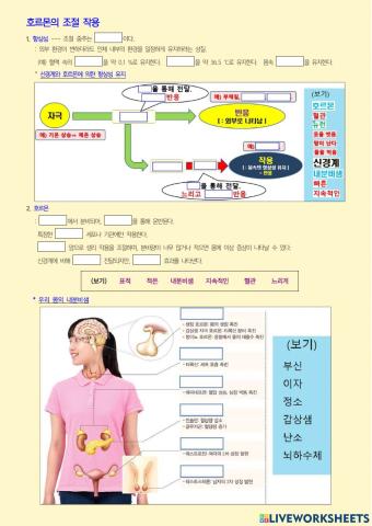 호르몬의 작용