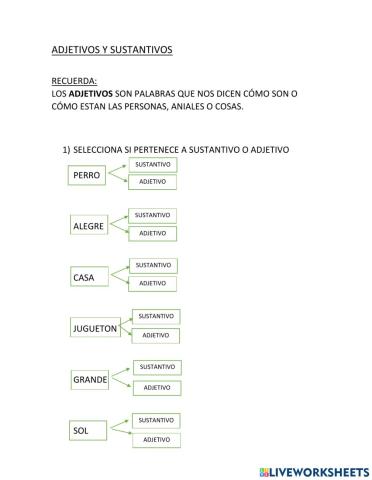 Sustantivos y adjetivos 