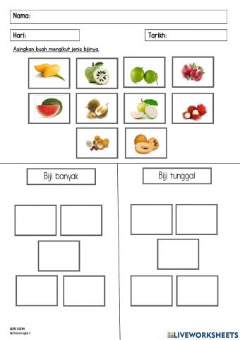 Mengelaskan Buah-buahan