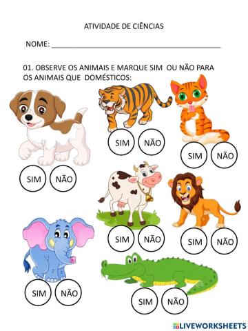 Animais