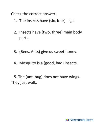 Insects