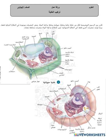 تركيب الخلية