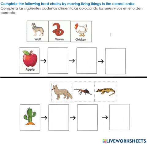 Food chains