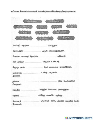 சினைப்பெயர்