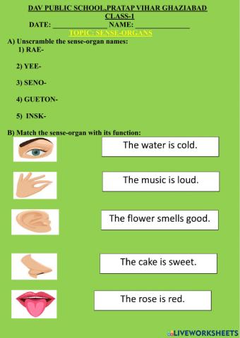 Sense-organs