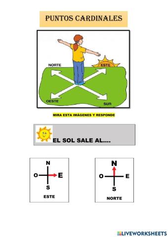 Puntos cardinales