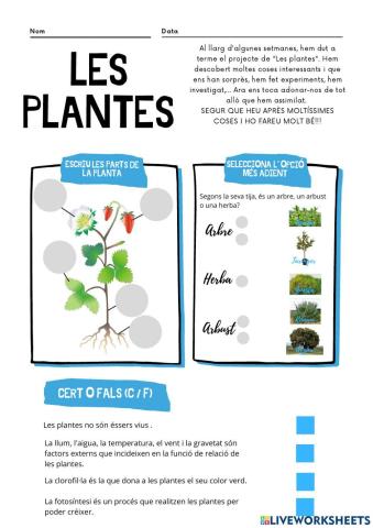 Les plantes