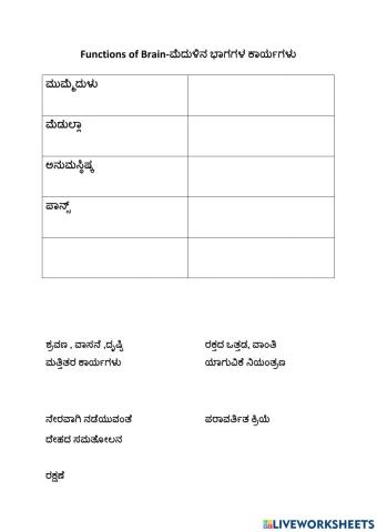 Functions of Brain-ಮೆದುಳಿನ ಭಾಗಗಳ ಕಾರ್ಯಗಳು