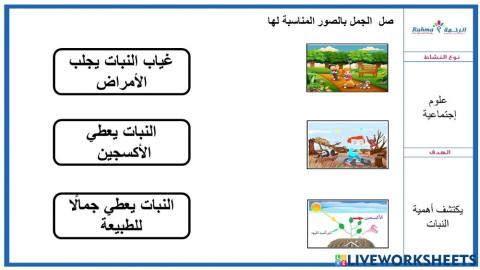 علوم اجتماعية