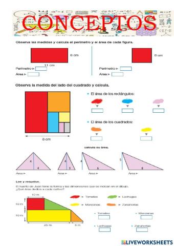 Conceptos de áreas cuadriláteros, triángulos y círculos