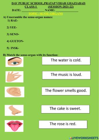 Sense-organs