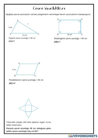 Çevre Uzunluğu-5. Sınıf