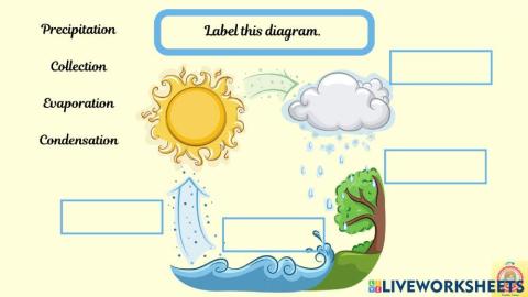 Water Cycle