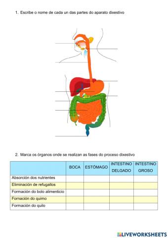 Avaliación: Función de Nutrición