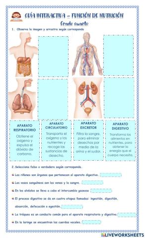 Función de nutrición