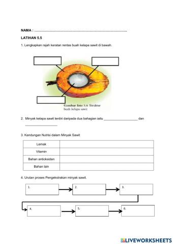 Minyak sawit