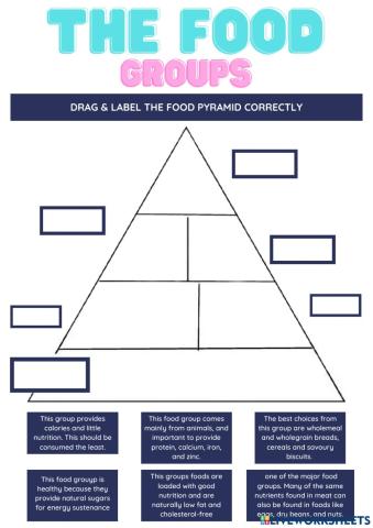 The Food Groupd