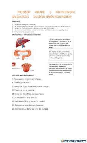 Nutrición humana