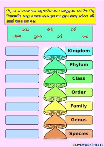 Life Science