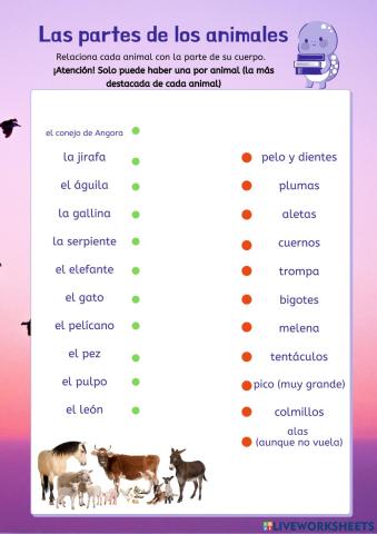 Partes del cuerpo de los animales