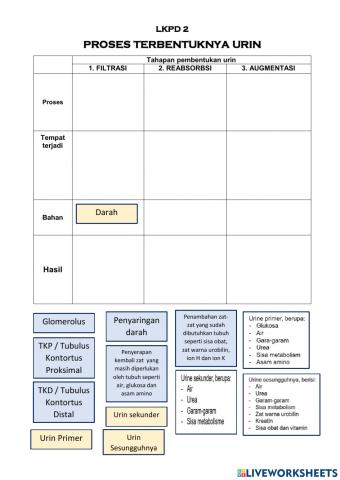 LKPD 2 Proses Pembentukan Urin