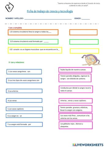 ¿Cuánto sabemos sobre el sistema circulatorio?