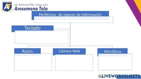 Cuadro sinóptico del hardware de la computadora